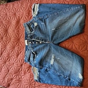 NWT Boyish High Rise Skinny Jean